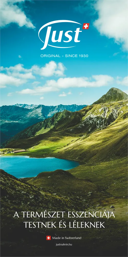 Just roll-up banner with a mountain lake